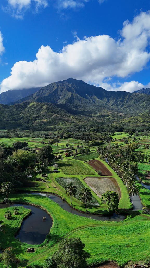 A vibrant aerial view of lush green fields and mountains on a clear day in Hawaii.
